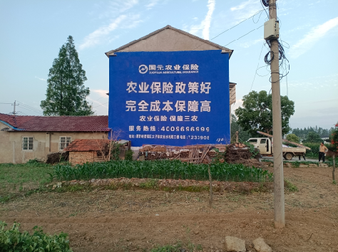 南宁墙体广告的优劣势你知道吗？